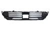 GRIGLIA P/TI ANT CITROEN C4 10/20>